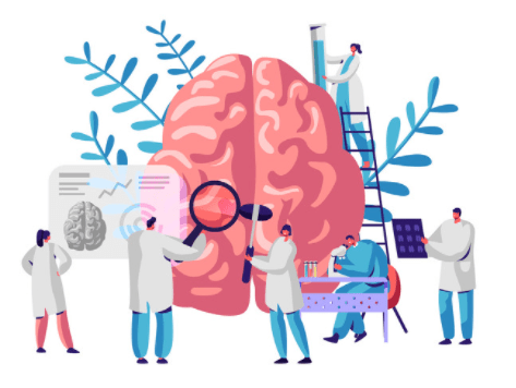 程度|红星专访｜雄性激素分泌越多的人越自私？中国科学家首次发现其神经学机制