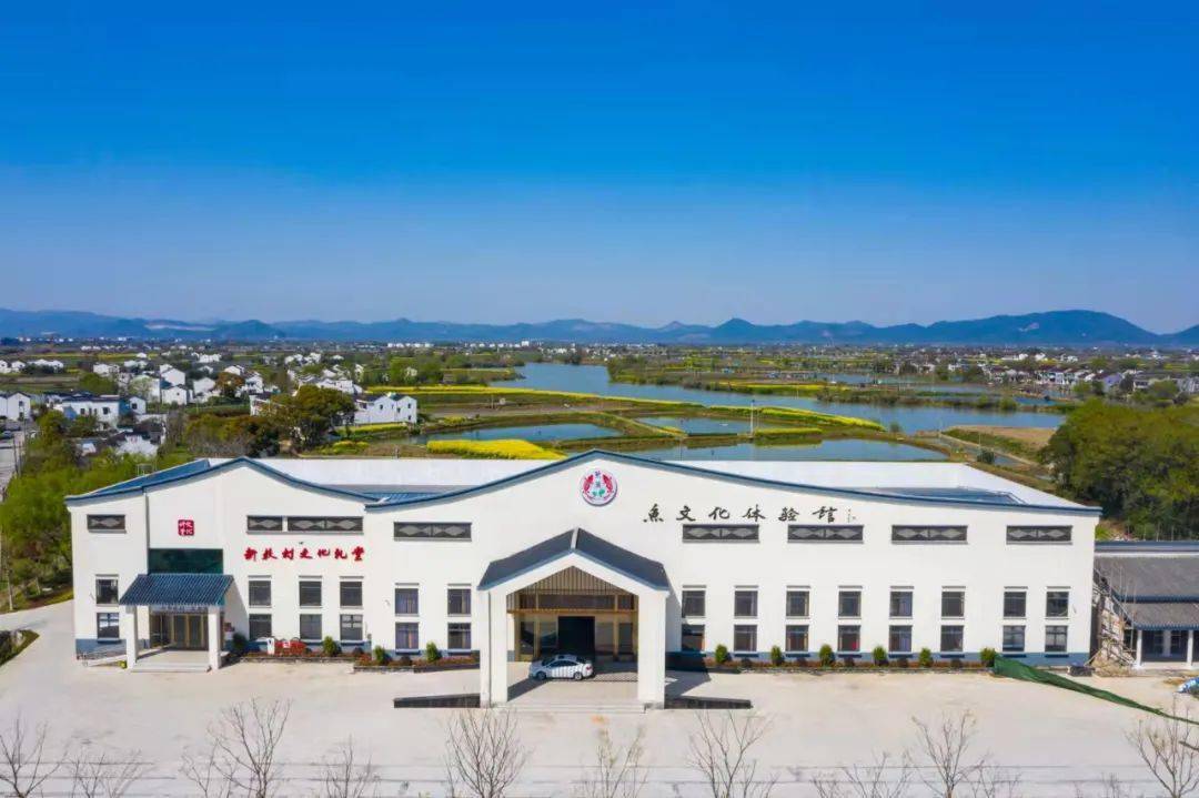 微改造精提升水乡古村古韵悠长和孚镇新荻村