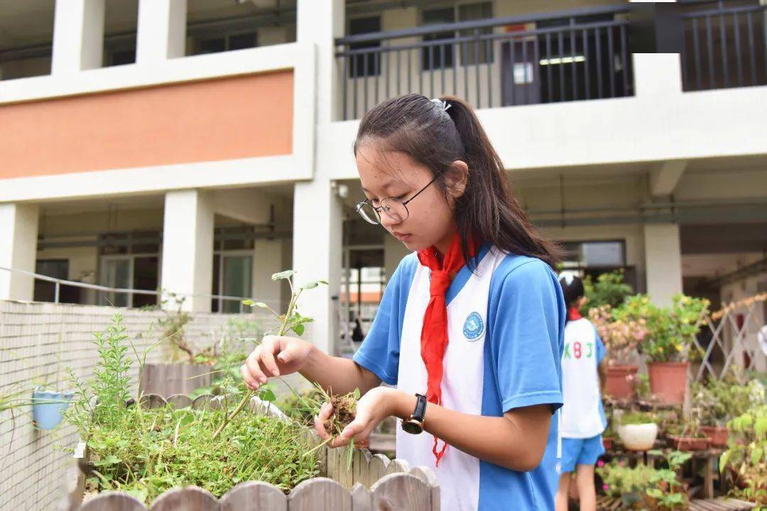 文明校园丨新北江小学:润泽生命,唱响文明