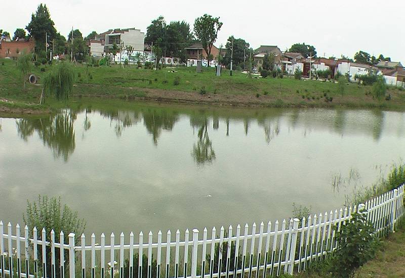凤翔区白家凹村:小涝池变身生态湖
