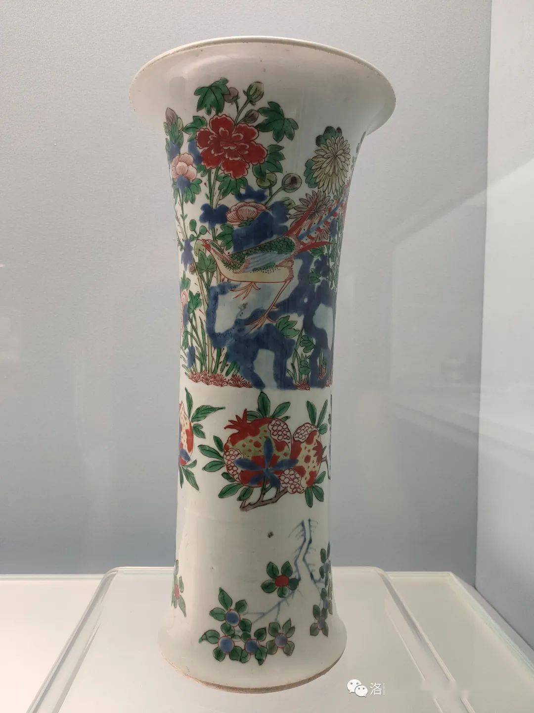 什么是青花果 32b46da8316141fbab872988373fd65c.jpeg