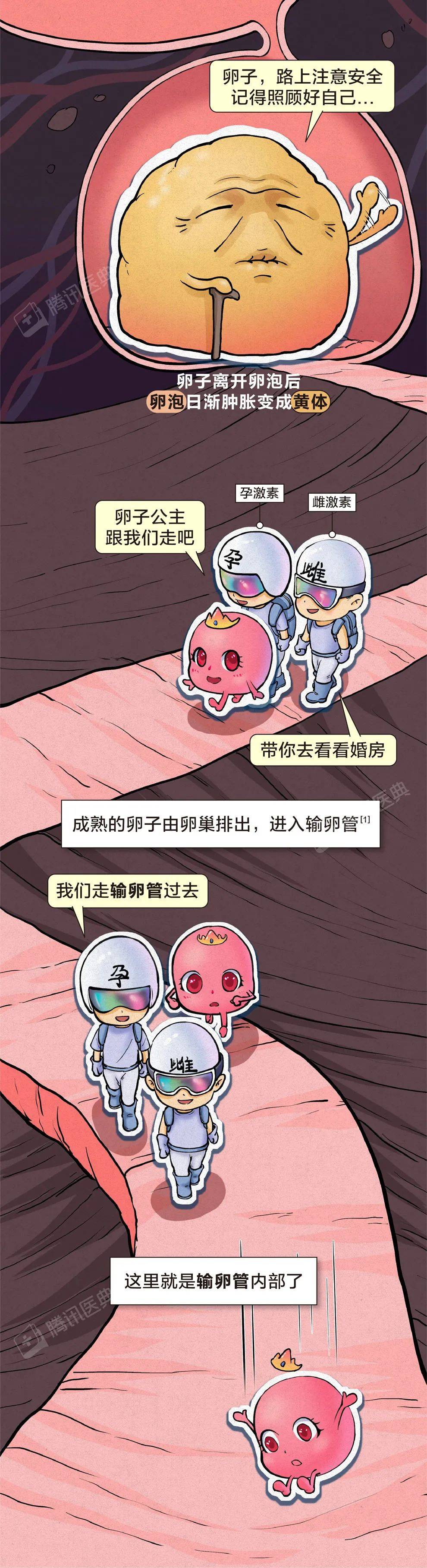 指数|生完孩子就不会痛经了？太天真