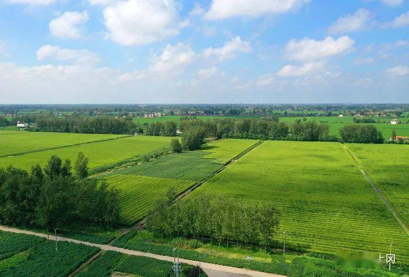 【航拍上冈】光华村,炎炎初秋,浓浓乡情_上冈镇