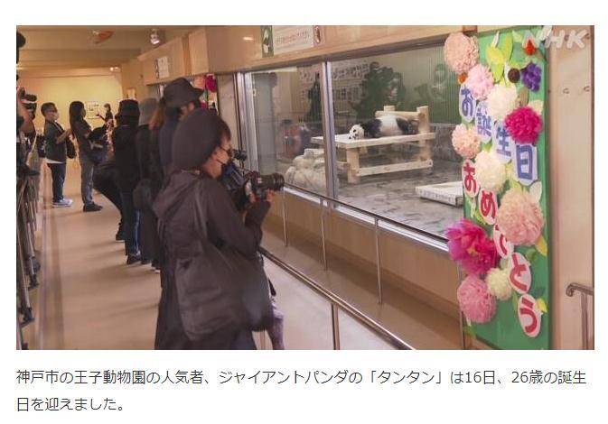 旅日大熊貓 旦旦 迎26歲生日相當於人類70多歲 遊戲攻略大神