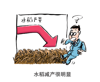 【学法】“漫”说民法典｜该侵权责任，采取“举证责任倒置”！_洪某某