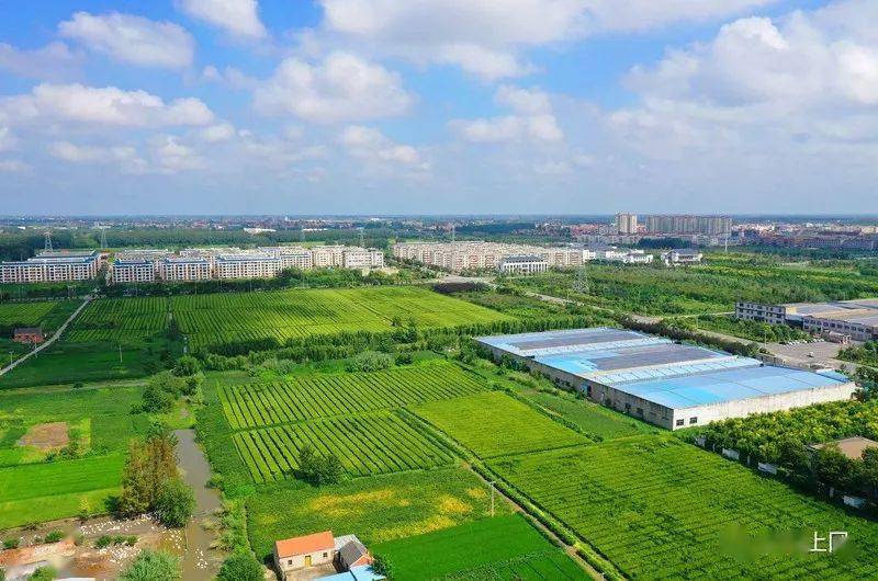 【航拍上冈】光华村,炎炎初秋,浓浓乡情_上冈镇