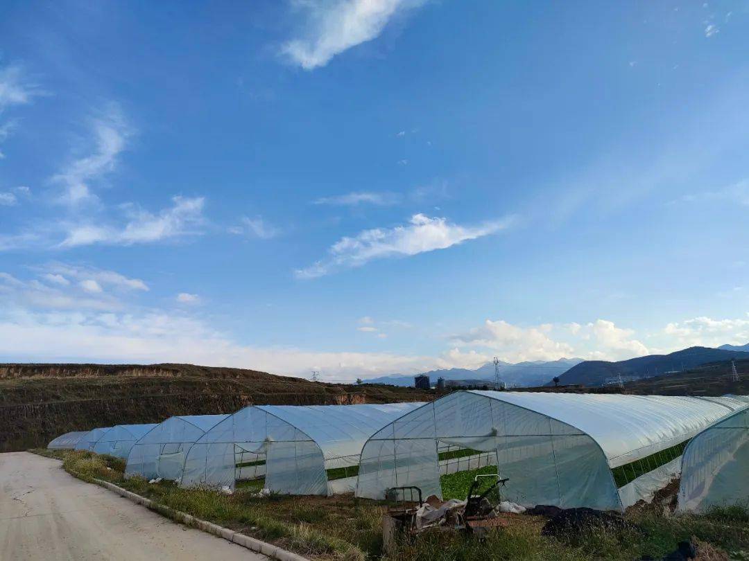 美丽乡村记者行之榆中县水岔沟村冯湾村