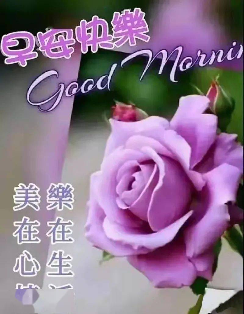 早安馨语珍惜彼此让友谊天长地久