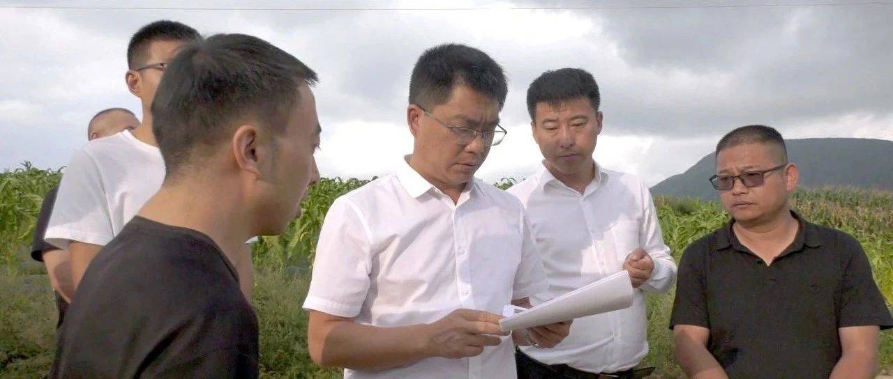 杨绪春在江底镇调研时强调:做实做细各项工作 推动鹏欣集团肉牛产业项目尽快落地_土地