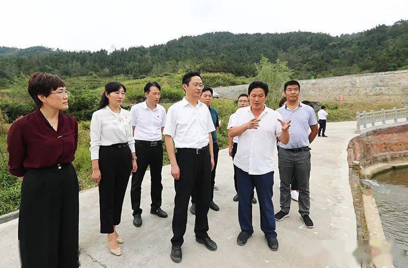 县委书记杨军深入三阳,大贵调研