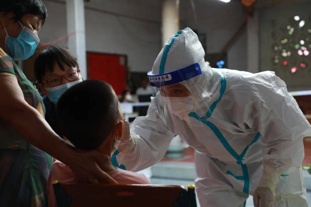 检测|本土确诊+31，均在福建