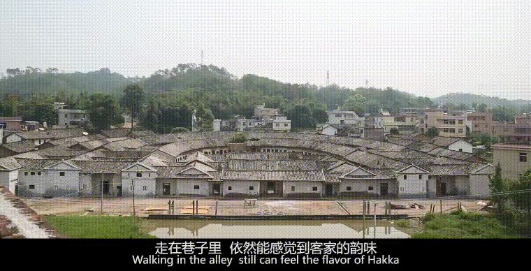 0a84198f7be247de8429f8bb157381f2.gif