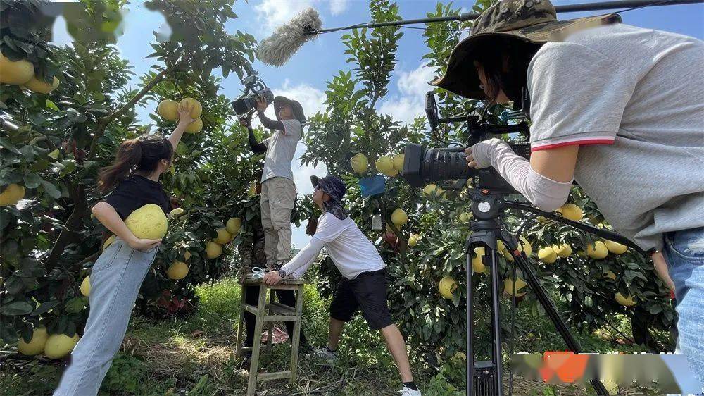 柚香柚甜围屋人家第九季在大埔开拍