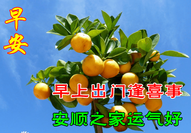 没人鼓掌,也要飞翔;没人欣赏,也要芬芳.