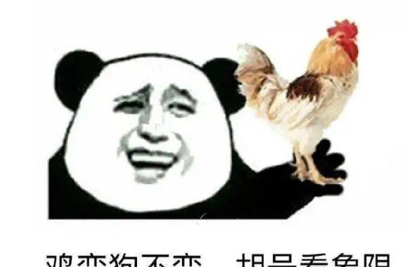 什么叫211梗 abb6627eaf704556b93dbabb7bb6a2f0.jpeg