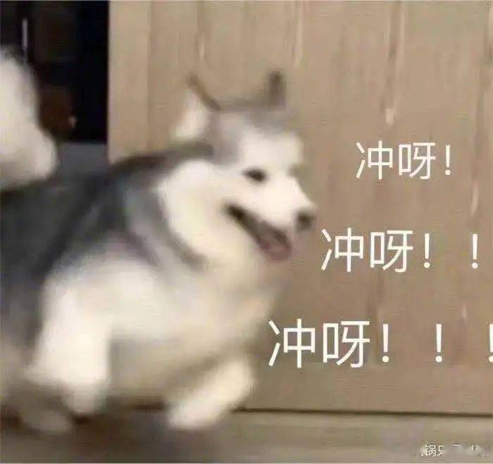 d9bc7b8c35d84da3b82a4eb6ebcd01b5.jpeg