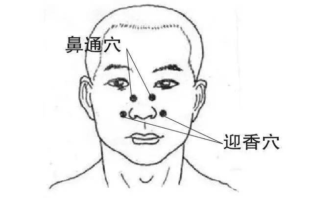 e5101cb540254906abe8de1f86942ab9.jpeg