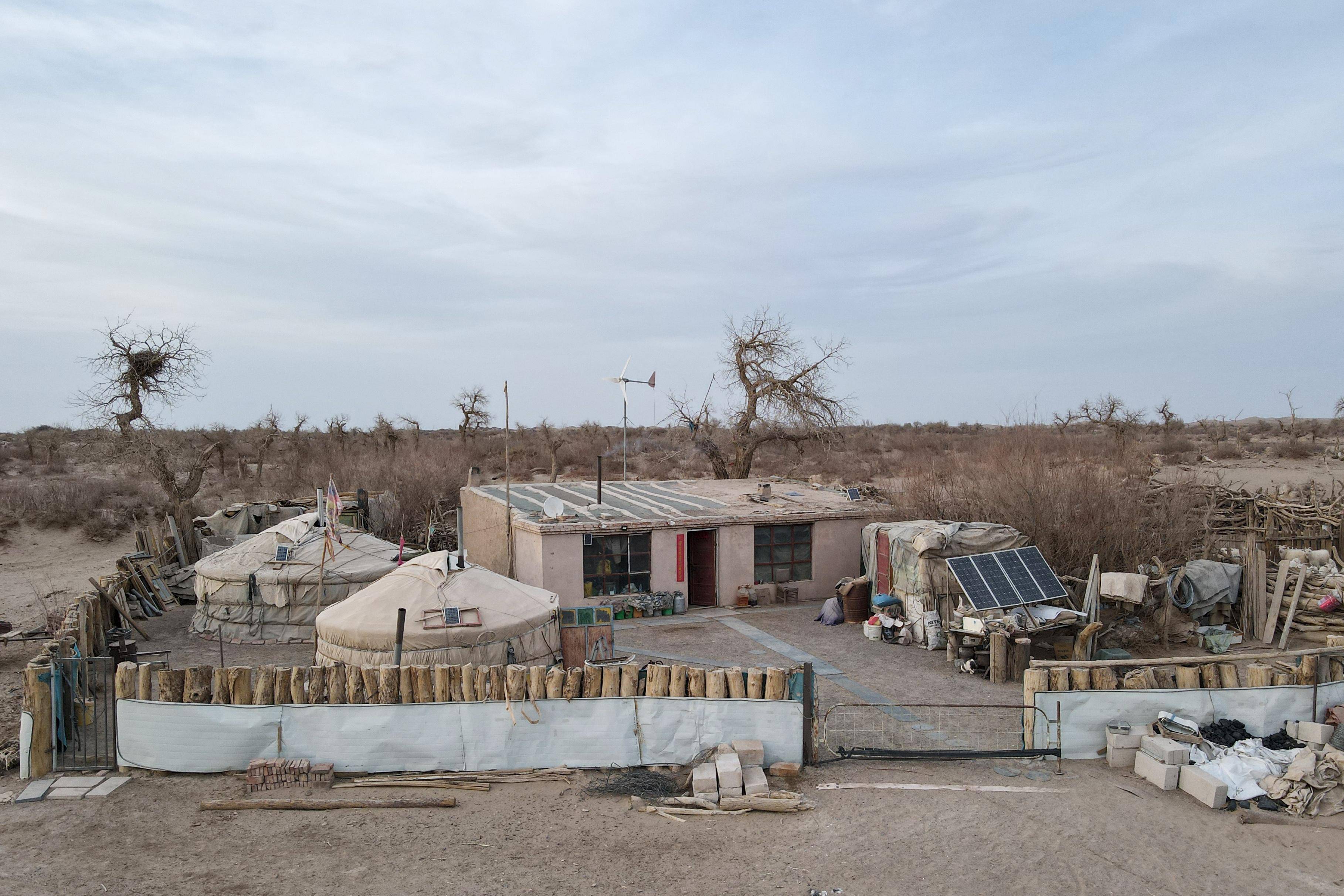 85岁内蒙古老人班都独居草场打井种树见证荒漠变绿洲