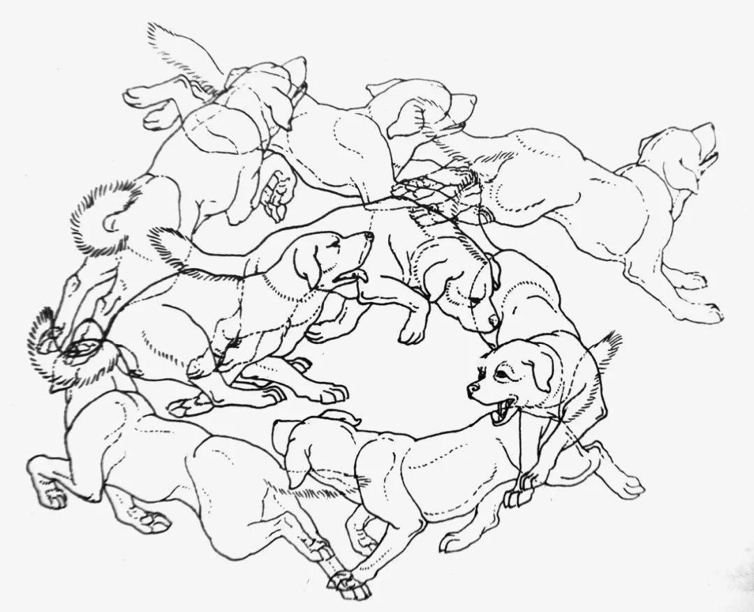 【国画教程】狗的画法与步骤