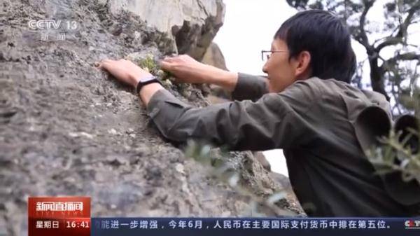 生物|探访种子“银行” 为野生生物建一个安全的“家”