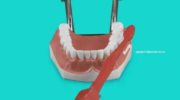 图片|5岁男孩突发急性肾炎，病根竟然是在口腔里