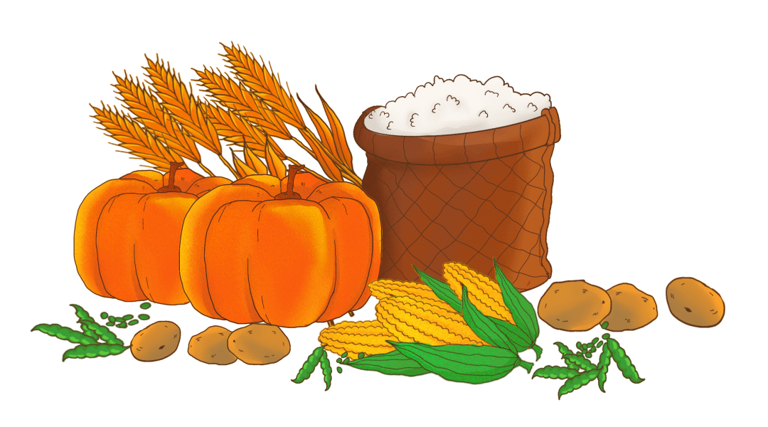 万众瞩目2021中国农民丰收节来了