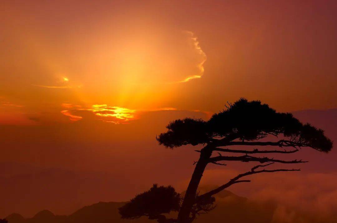 【大美中国 旅游指南】被白居易称赞的庐山,景美惊艳!