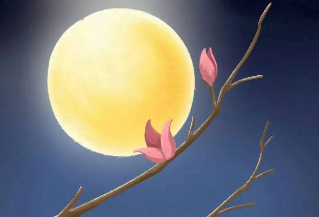 秦时明月手游礼包|秦时明月手游中秋大礼包活动