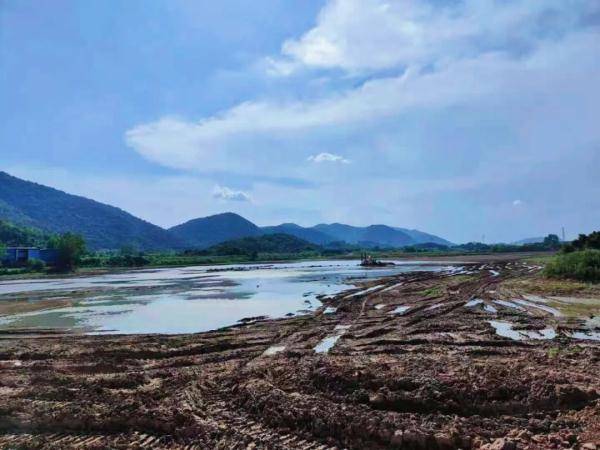 天鹅|江南水乡风！黄石这里将建成名胜风景区！