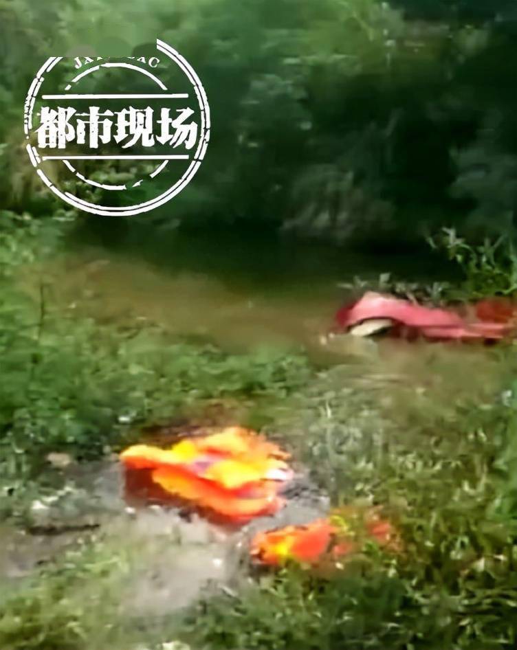 江西南昌：一家5口去怪石岭景区旅游，返程时小车翻入水中，祖孙3人不幸身亡
