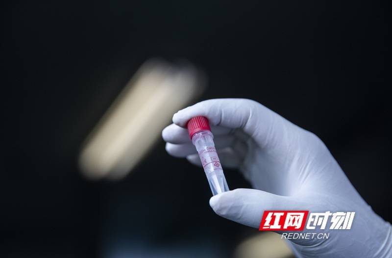 疫情|“高新”开拓者｜谭德勇：我想成为一个分子在生物科学的世界里遨游