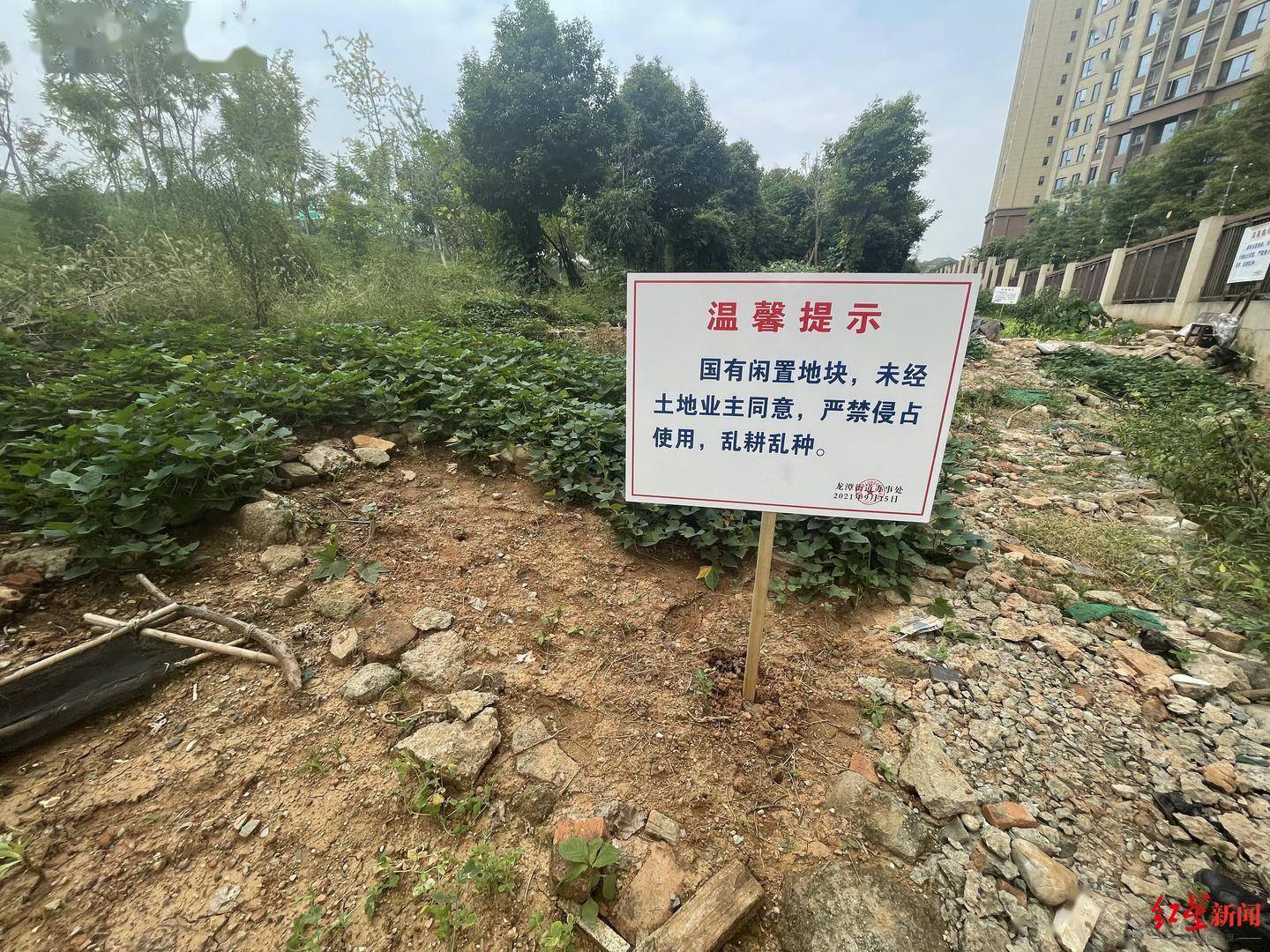 立在土地附近的提示牌补充道:"这些牌子主要是为了防止更多人来种菜