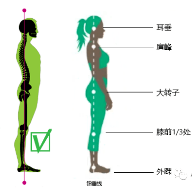 干货健康美丽的头等大事体态体态自我评估