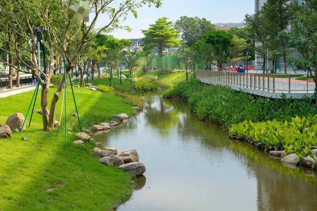 该示范段项目立足现有沙坦涌,以生态建设为基底, 打造城市花园式河涌