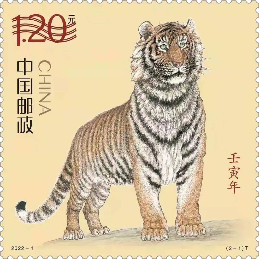 壬寅虎年什么命格最好的 壬寅虎出生的最好的生辰八字