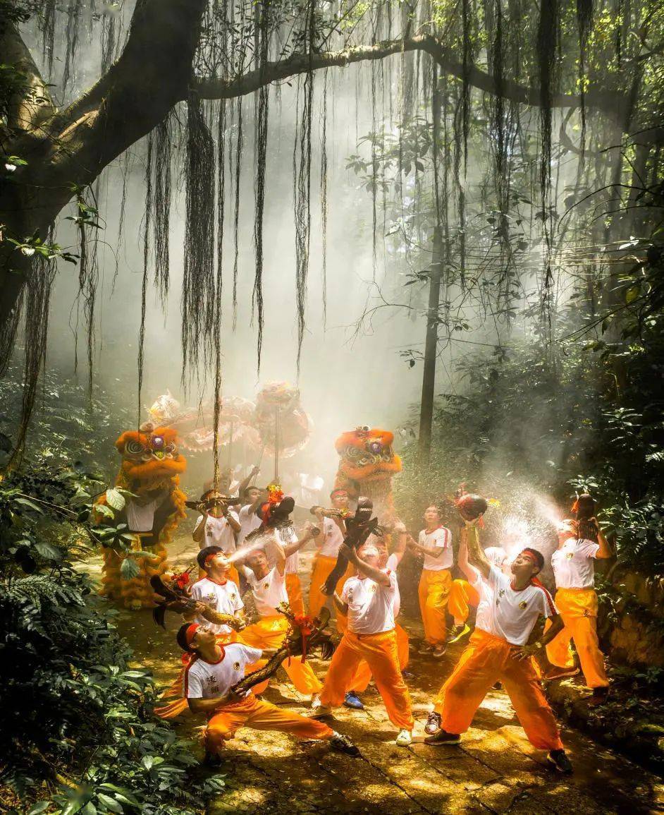 但是你知不知道木龙舞背后的都看过濠头木龙舞很多中山人【濠头郑氏大