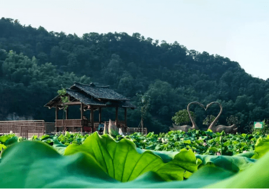 (资江旅游度假区)