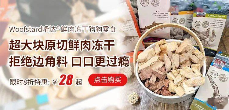 布兜|这才是狗狗零食的正确打开方式……