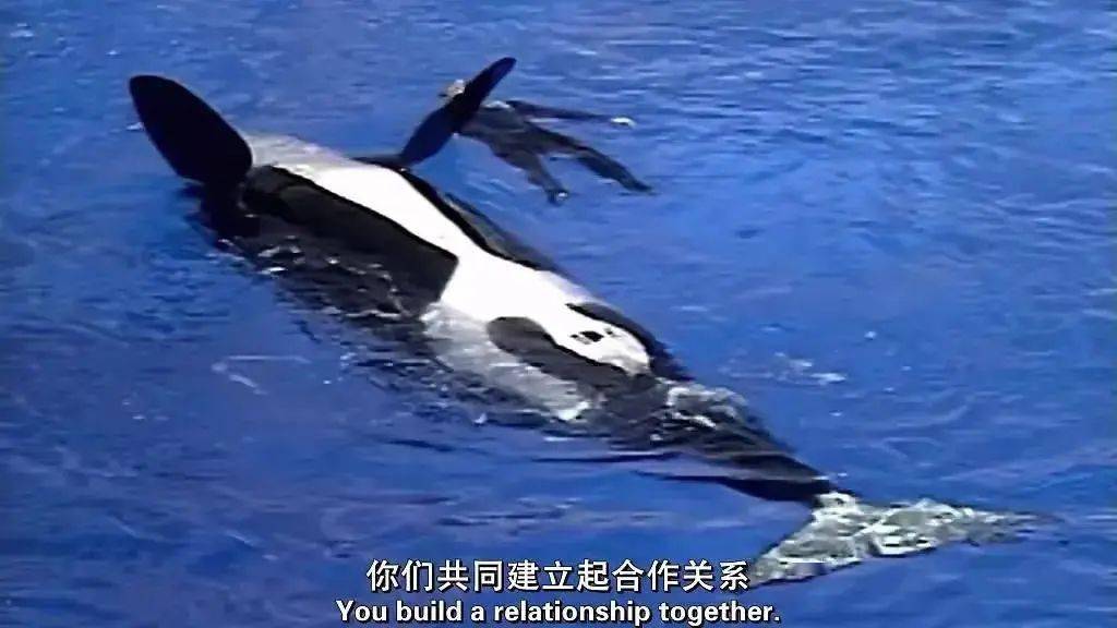逼她患上抑郁症的人,还在继续作恶