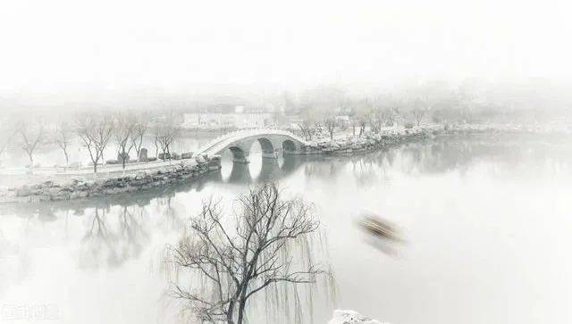 菜花|『千家诗词』高志发诗词精选