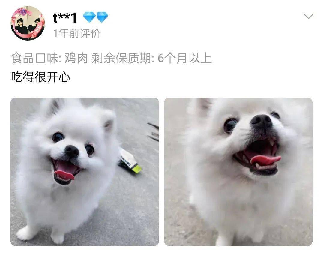 布兜|这才是狗狗零食的正确打开方式……