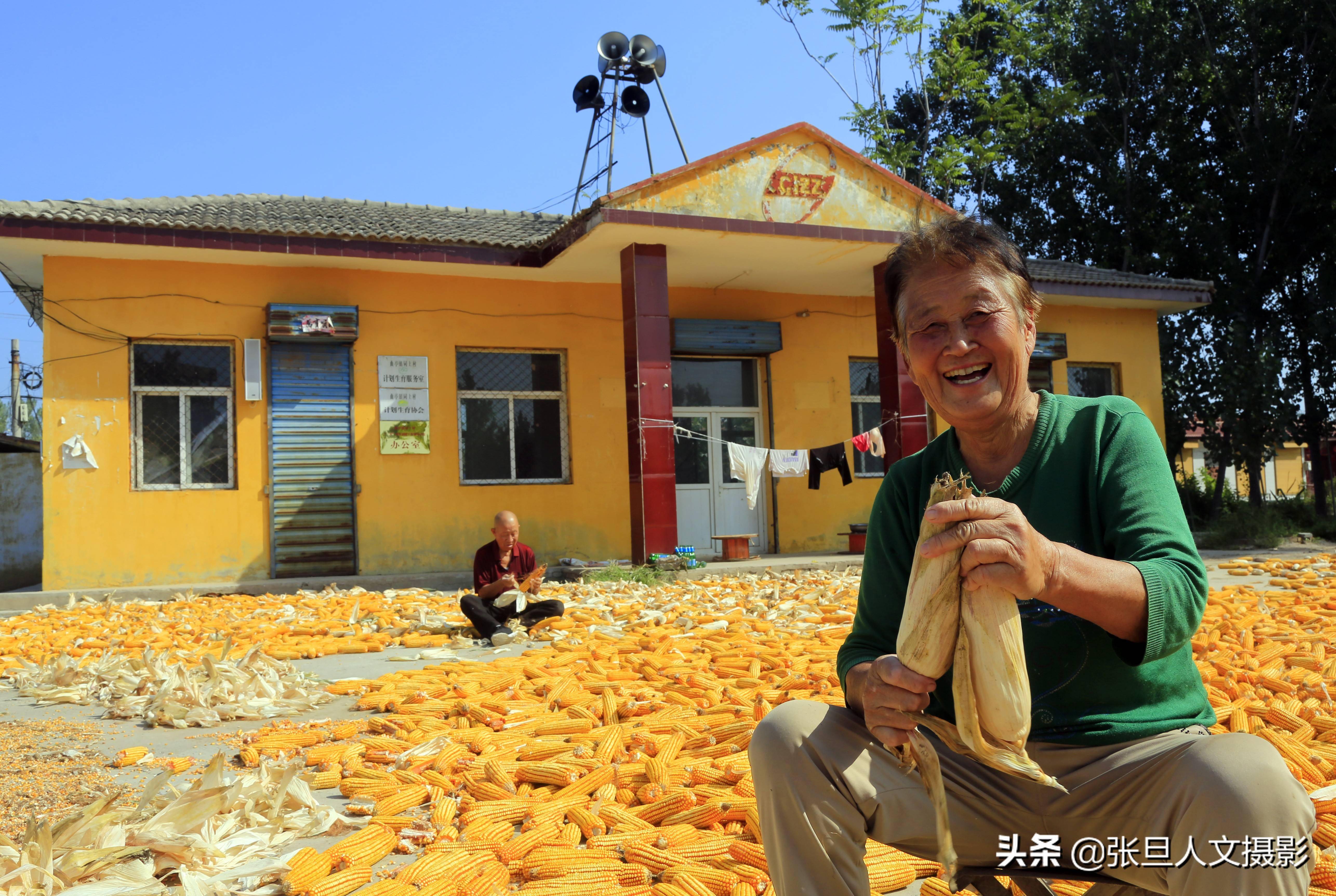 农民丰收节20张照片见证农民丰收的场景临汾的秋天绚烂多彩