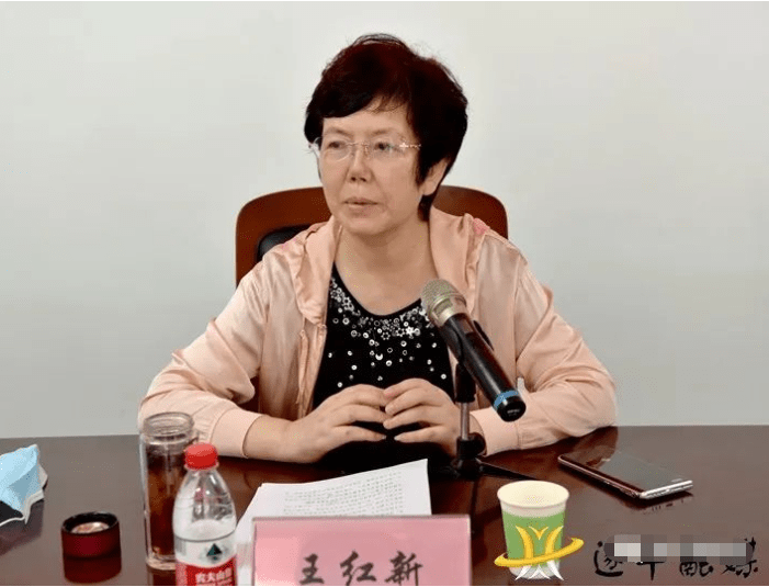 遂平县首届电商直播大赛活动启动_王红新