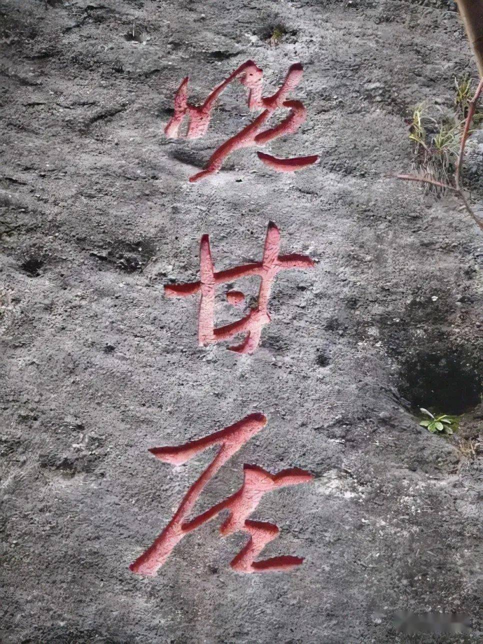 后人将"晚甘侯"三字镌于武夷九龙窠之岩壁.