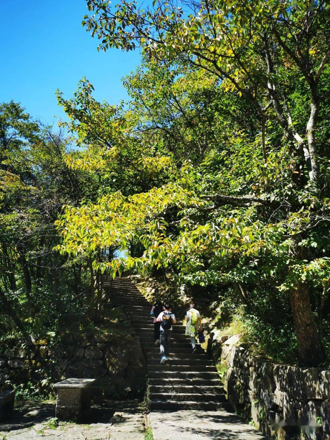 黄山风景区融媒体中心出品文字:张峰,徐臻,钟蕾图片:雲亼,排云型旅