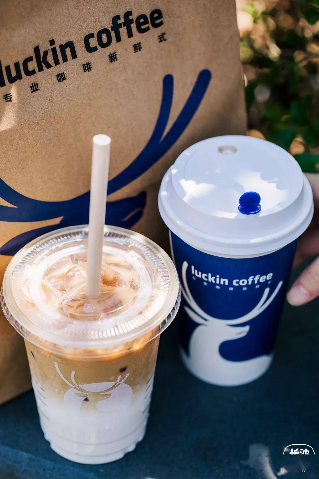 吃货君推荐不加糖的丝绒拿铁,把咖啡和厚奶的醇香毫无保留地呈现在口