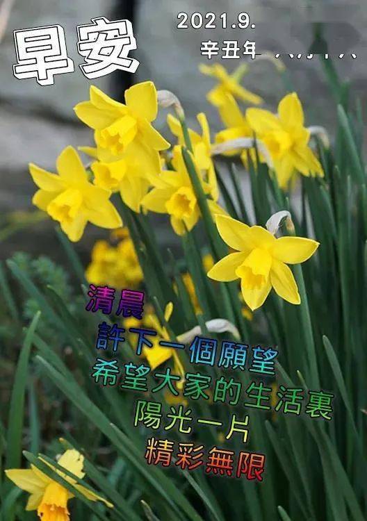 心情好,什么都好,心情不好,一切都乱了.