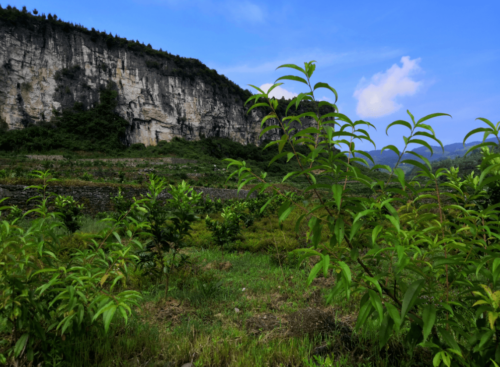 土地整治印江石头山生金记