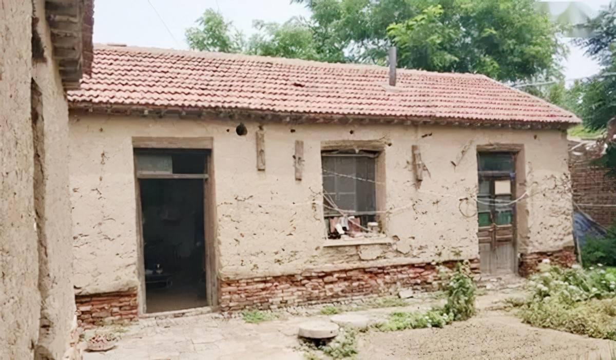 神眼 马玉林探案 寻枪记 马书记