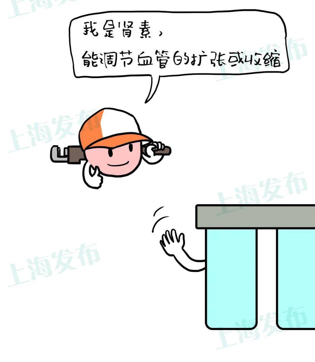 血液|【医聊】憋尿就是把肾泡在脏水里,怎样护肾养肾?